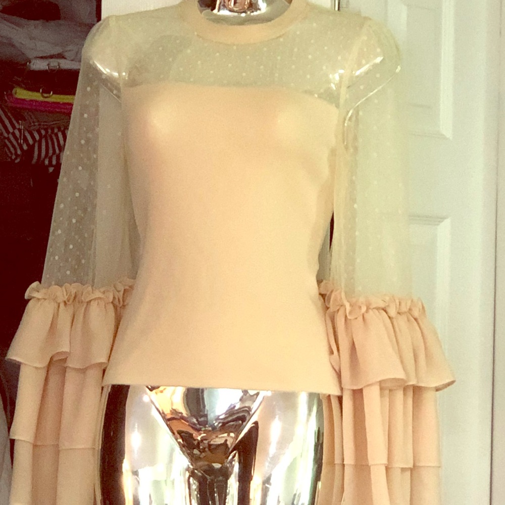Nude Top...Sheer Sleeves & Neck Line